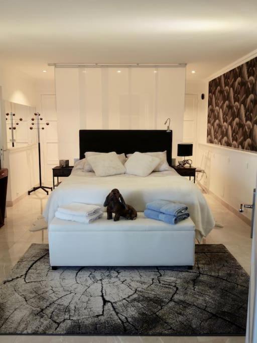 וילנב-לובה Elegant-Cosy 2P55M2 Dans Bas De Villa Provencale ! מראה חיצוני תמונה